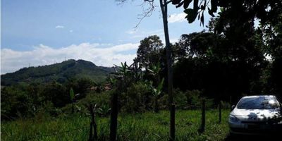 En un lugar privilegiado del departamento de Caldas, específicamente en la encantadora ciudad de Palestina, se encuentra este espectacular lote de terreno de 2590 M2 de área, el cual está disponible para su venta y tiene como destino ideal la construcción de la casa de tus sueños o cualquier otro proyecto inmobiliario que tengas en mente.

Este lote, además de su amplia extensión, cuenta con una área privada de 2590 M2, lo que supone un gran potencial para desarrollar una propiedad de grandes dimensiones y llenarla con todos los elementos que deseas para llevar una vida tranquila y cómoda.

Entre las características internas más atractivas de este lote, resalta su formato adosado, el cual te ofrece la posibilidad de contar con un vecindario agradable y seguro, donde podrás socializar con tus vecinos y compartir momentos memorables con ellos.

Pero lo más impresionante de este inmueble es su inigualable vista panorámica, que te permitirá disfrutar de los más hermosos paisajes naturales y la tranquilidad que aporta el vivir en contacto con la naturaleza.

En cuanto a su entorno, este lote se encuentra rodeado de árboles frutales que le aportan frescura y color a su paisaje, y lo convierten en el lugar ideal para conectarte con el medio ambiente y disfrutar de una vida saludable y sostenible.

Otro punto a destacar es que este terreno está situado en una zona turística, lo que significa que podrás disfrutar de múltiples actividades de ocio y recreación, lo que convertirá tu vida en un constante descubrimiento y aventura.

A pesar de encontrarse en un entorno campestre, este lote también está muy cerca de la zona urbana, lo que te ofrecerá la ventaja de tener a tu alcance todos los servicios y comodidades que necesites, desde supermercados hasta centros de salud y zonas financieras.

Además, su privilegiada ubicación también lo sitúa muy cerca de colegios y universidades de renombre, lo que será de gran beneficio para tus hijos o para ti s