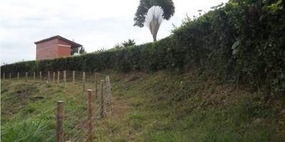 Lote para la venta en excelente sector Campestre cerca de Arauca (Palestina). Topografìa ligeramente inclinada ideal para evitar inundaciones, ubicado a solo 1 kilòmetro de la vìa principal. Cerca del cai y de centros poblados. Disponibilidad de acueducto y energía eléctrica. Excelente inversiòn, cerca de la autopista pacìfico 3 y del aeropuerto de Palestina.
