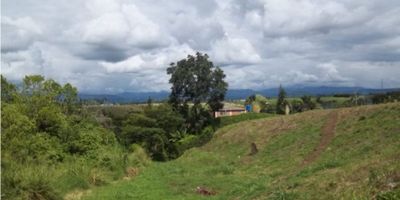 Terreno que se valoriza dia a dia por la nueva ruta de pacifico 3 y aeropuerto de Palestina, excelente clima, queda cerca a la estacion de policia las margaritas, ideal para cultivos,servicios de agua y energia.

 ¡Esperamos tu llamada!
