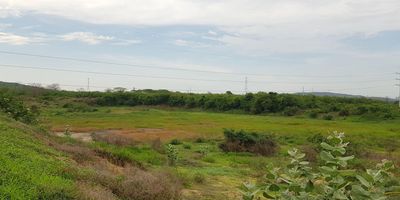 GRAN OFERTA
Lote de 181.316 mts2 ubicado en el Km 5 en la vía Juan Mina, a 5 minutos de la carretera principal con dos entradas con accesos con caminos señalizados y lote cercados. Lote se encuentra ubicado y cercano a una zona industrial cercana de empresas y de zona franca. Es cercano a la circunvalar de la prosperidad que comunica municipios aledaños y lejanos en pocos minutos tanto a la vía al mar, vía de la cordialidad y la vía oriental.