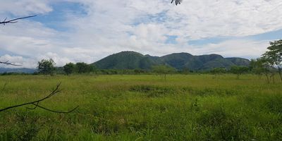 GRAN OFERTA. Lote rural de uso agropecuario, ubicado aproximadamente a 140 minutos del casco urbano, por la variante Chicoral. Cuenta con 10 Hectareas