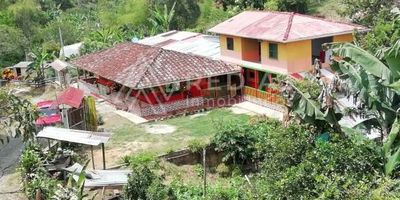 Es un predio con una área de 25.600 metros cuadrados equivalente a 4 cuadras, de topografía plana 50% y ondulada 50%, a 1.180 msnm y con una temperatura que oscila entre 28 y 32 grados centígrados, con suelos de alta fertilidad, dos manantiales y agua del acueducto veredal; tiene sembrados 230 árboles de aguacate entre 4 y 6 años de edad de las variedades papelillo, coquetee, y santana. Cuenta además con variedad de cítricos como limón Tahití, persa, pajarito y mandarino, naranjas tájenlo, Salustiano, tweet, y mandarina onece y arrayana. Otros frutales presentes allí son mamoncillo, guanábano, cañafístula, mangos y chirimoyos. Adicionalmente hay sembradas 1000 matas de plátano dominico hartón y 100 de banano.
Posee una casa principal amplia con corredores en redondo, con cinco alcobas equipadas con camas, camarotes y closet, dos baños, sala comedor, cocina integral, amplio salón social, depósito y parqueaderos. Una casa de mayordomo con dos alcobas, un baño y sala-comedor. 
La finca se entrega a puerta cerrada, con un campero Mitsubishi modelo 83 y con equipos y herramientas así: Una maquina estacionaria, dos fumigadoras a motor, un soldador, un compresor, básculas y herramientas de labor.
Ubicada a ocho kilómetros del municipio de Marsella por la vía que conduce a Chinchiná en la margen izquierda del rio San Francisco.