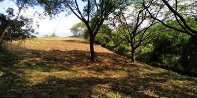 LOTE No. 1 VEREDA EL JAGUAL YAGUARA, Área 6.000 M2, ubicado al costado izquierdo sobre la via Neiva- Yaguara sobre la represa 