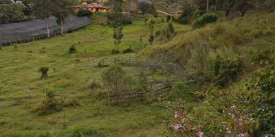 Lote para venta en Rionegro vereda Cuchillas con un terreno en su mayoría plano, fácil acceso dado a su cercanía con vía principal y alternas, vía de acceso pavimentada, cerca también de la base aérea, optimo para posible desarrollo urbanístico (vivienda) y cuenta con un área de 23.103m²