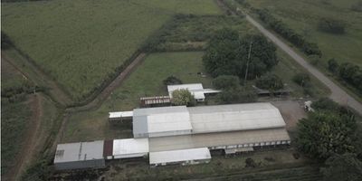 Con una excelente ubicación, sobre la carretera Santander de Quilichao kilómetro 4 vía Timba, contiguo a los molinos del Cauca.

Municipio de Santander de Quilichao, Departamento del Cauca.

Cuenta con las instalaciones perfectas para la instalación de una industria con oficinas amplias, cómodas muy bien dotadas con estructura metálica, Líneas telefónicas, Portería con Baño y otro espacio amplio, Energía y pozo séptico.

Oficinas con recepción, gerencia, dos baños, cocineta, salón de oficinas.

Cerramiento enmallado completo.

Ubicado en las cercanías del parque industrial El paraíso al norte de Santander sobre la nueva variante. Este es un sector de parques industriales y cultivos de caña de azúcar y haciendas ganaderas. Es un sector en donde se han ubicado varias empresas aprovechando los beneficios que le ofrece la ley Páez y la vecindad a la carretera Panamericana, hoy en doble calzada, impulsando con esto el desarrollo socio económico de la región.

Parques industriales del sector