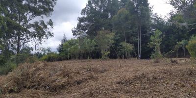 Lote disponible para la venta en Rionegro Antioquia Vereda Galicia, parcelación abierta a 4,5 km de la autopista Medellin- Bogotá sobre vía pavimentada, el lote cuenta con pozo séptico y acometidas de agua y energía, muy buena inversión con excelente valorización, no se paga administración.
