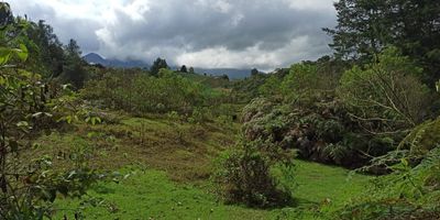 Lote en venta en el Carmen de Viboral (Antioquia) cuenta con un área de 35.000 m2, topografía mixta, excelente localización. Valor del m2 $130.000