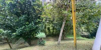 Lote en unidad cerrada, área de 221 metros cuadrados, se encuentra ubicado en Aves María, Sabaneta (Ant); muy cerca del Parque Principal.

La unidad cuenta con portería, permanente, salón social, juegos infantiles, placa polideportiva y piscina.

¡No dejes pasar esta oportunidad única! Contáctanos  al 3012021300 para programar una visita y descubre más sobre esta increíble propiedad!