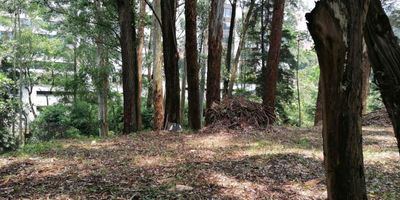 Lote independiente en venta en el sector San Lucas, cerca a San Lucas Plaza, Carulla, restaurantes, acceso a vias principales, rutas de transporte y servicios complementarios. Cuenta con un area de 2020 M2, sobre via principal. *Inmuebles sujetos a verificación de disponibilidad.*