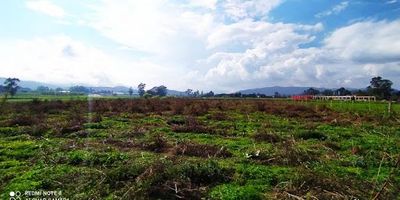 1057 Gran oportunidad de inversion! Lote a la venta en Madrid Cundinamarca kilometro treinta via faca, el lote cuenta con diez mil ciento sesenta metros cuadrados, valor por metro cuadrado de doscientos setenta mil pesos, con facil acceso vehicular publico y privado, no pierdas esta gran oportunidad! precio totalmente NEGOCIABLES!