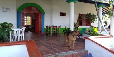 Vende Integridad, inmobiliaria experta en administración y arrendamientos de apartamentos, casas, locales, bodegas y oficinas, Medellín y toda el área Metropolitana.