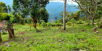 Finca ubicada en Génova, Quindío, a 5 kilómetros de la zona urbana, cuenta con 50 cuadras de las cuales son útiles 40 aproximadamente. Altura entre 1.870 y 2.040 metros a nivel del mar. Topografía ondulada (60%), ligeramente pendiente (20%), plana (20%). Suelos franco arenosos, con 2.5 kilómetros de carreteras internas, posee cantera y afloramientos propios. Cuenta con registro exportador de aguacate Hass. La carretera es apta para camiones.