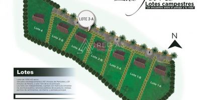 ¡Lotes y estilo de vida!
Se Vende Lote (3A) en el sector del Lembo en Santa Rosa de Cabal - Risaralda.  Los mejores lotes gracias a la ubicación estratégica, seguridad y privacidad, sendero ecológico. Disfruta de un espacio natural con  reserva forestal y nacimiento de agua y tranquilo, vista espectacular. Disfruta de los beneficios del ambiente campestre.

Ubicados estrategicamente a 40 minutos de Manizales y 20 minutos de Pereira y a solo 1 kilómetro de la vía principal. Los lotes son independientes, cuentan con matricula inmobiliaria, escritura publica, servicios públicos de acueducto, energía y permisos de vertimiento, vía interna y portada principal.