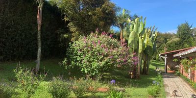 VENDO espectacular casa, 270 metros de área privada y 5.000 metros de área total, 4 alcobas, 4 baños, cocina abierta, sala, comedor, chimenea, grandes ventanales, espectacular vista, rodeada de verde, árboles frutales, lago, zona para BBQ, espacio muy grande para parqueadero, depósito o cuarto de herramientas, zona de lavandería, se puede negociar con el mobiliario. Muy cerca a El Retiro y a la Ceja.