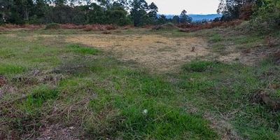 es un lote en Vereda los Pinos del municipio de Rionegro Antioquia, carretera pavimentada solo 100 metros, destapada al llegar al lote, cuenta con agua propia, transporte público, capilla, excelente vereda tranquila, segura, limpia, supermercado, área por escritura pública 8500, a tan solo 20 minutos de Rionegro, entre otros.
