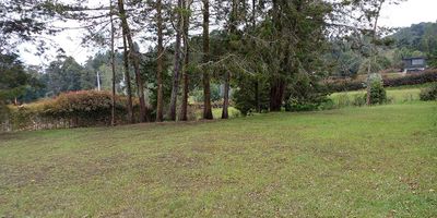 Lote en parcelacion en venta en alto de palmas, cerca al colegio Alcaravanes y con acceso a gran variedad de servicios complementarios en el mall indiana y viva palmas. Entorno altamente campestre y tranquilo, de gran desarrollo urbanistico. Cuenta con area de 2205 M2, via alterna. Unidad con parque infantil, zonas verdes, vigilancia 24 horas, alarma, citofonia y circuito cerrado de tv.