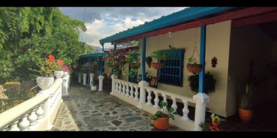 Brando & cia te ofrece Hermosa  Finca en venta  en la vereda  portachuelo  de Girardota a 10 minutos de la doble calzada  y tan solo 45 minutos de Medellin, clima ideal para tu descanso, rodeado totalmente de naturaleza cuenta con:


 Cuenta con dos casas  independientes;  la primera es una hermosa casa campestre con construcción antigua.   la segunda es la  casa principal que  cuenta  con dos niveles,y una  hermosa vista panoramica. Es un sector muy agradable y tranquilo para vivir y compartir en familia, La Topografia es hodulada irregular, con buenas vias de acceso hasta la finca.  
   Area  mts2000 mts 
  Casa principal  de 2 pisos
  Cocina integral en madera 
  Sala comedor
  3 habitaciónes con closeth en madera 
  3 baños
  Zona de lavandería
  Amplios corredores
 Mirador con excelente vista panorámica
 Segunda casa campestre con: 3 habitaciones, 2 baños, Sala comedor, cuenta con Cocina integral y zona de ropas, Amplios corredores, Hermosos jardines, Gran variedad de Árboles frutales ( naranja, mango, aguacate, tomate de árbol,limon, papaya, guayaba), Sembrados de yuca y plátano, Zonas verdes, Kiosco, Parqueadero para 8 carros ,Techo en tablilla de zapán , Servicio de agua propia y veredal, Energía y gas , Quebrada cercana  linda con la propiedad.

