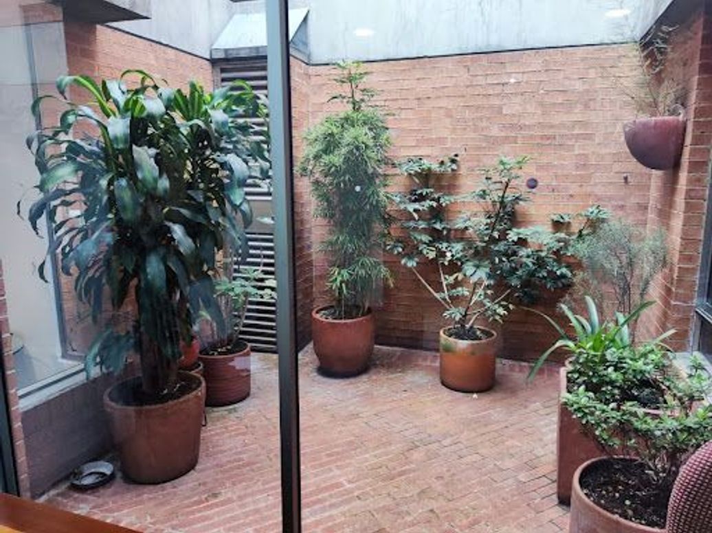 Apartamento de 4 alcobas en venta en Santa Bibiana, Bogotá, 243 m² · foto 13 de 20