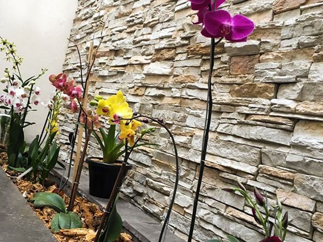 Casa de 5 alcobas en venta en Usatama, Bogotá, 500 m² · foto 16 de 20