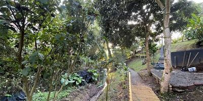 Casa Campestre estrato 6 ubicada en la entrada 1, de Cerritos. Todos los servicios, 2200 m2 lote y casa 520 m2. Tiene 7 habitaciones, 6 baños, cuarto de huéspedes independiente, sala, comedor, cocina americana, 2 terrazas, patio de ropas, closets vestidores, deposito, piscina, quiosco, cancha múltiple, parqueadero cubierto, cámaras, alarma, paraíso natural: fuente, jardines, frutales, bosque privado y sendero ecológico, aljibe, cerca natural y quebrada de agua.
