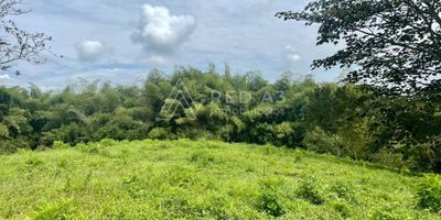 Lote en venta ubicado en la entrada 9 La Trinidad Vía Pereira-Cerritos, cerca a malls comerciales, colegios, restaurantes, supermercados, estaciones de servicio, con fácil acceso a transporte urbano, con red de seguridad y servicio médico domiciliario.

A tan solo 400mts de la vía principal el lote cuenta con 6.592m2, ideal para construcción de vivienda, cuenta con servicio de energía y agua de nacimiento, sus vías de acceso se encuentran en muy buen estado. La topografía se caracteriza por ser un 30% plano y 70% ondulada.