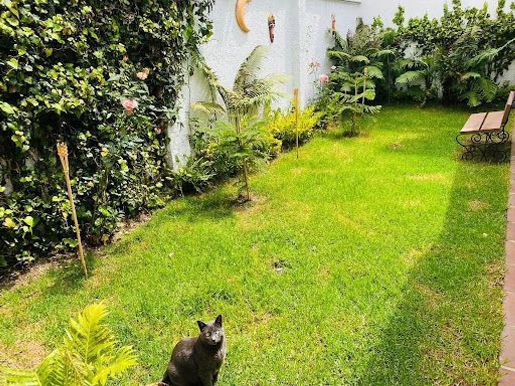 Casa de 4 alcobas en venta en Nueva Autopista, Bogotá, 240 m² · foto 10 de 18