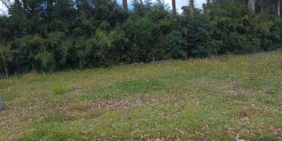 Codigo 19406. Lote en venta ubicado en el carmen de viboral sector la maria cerca al parque principal de el carmen de viboral, vía hacia rionegro, supermercados y transporte publico.unidad de lotes urbanizados rodeado de zonas verdes.