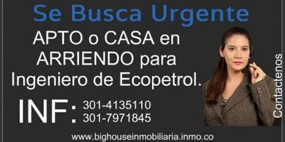 Se Busca Arriendo de apartamentos, casas, locales, bodegas

 

 
