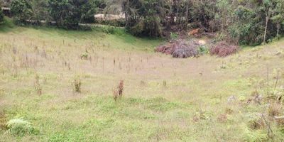 Codigo 19889. Lote en venta ubicado en El Retiro sector El ManantialZona de alta valorizaciónCerca a la escuela El Chuscal. Lote con topografía ondulada para construcción comercial o de vivienda. Cuenta con agua veredal y excelente panorama. 