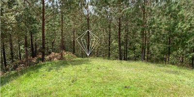 Venta de lote en la vereda Boquerón, El Carmen de Viboral

Este lote, con un área de 147.200 m² (equivalente a 23 cuadras), se encuentra en una ubicación estratégica. Sus características son notables:


 Viabilidad para subdivisión: Puedes sacar 58 lotes de aproximadamente 2.500 m² cada uno. Esto ofrece una excelente oportunidad de inversión.
 Sostenibilidad: El terreno es sostenible, lo que garantiza su uso responsable y respetuoso con el entorno.
 Fácil acceso: La zona cuenta con acceso cómodo desde vías principales.
 Alta valorización: El municipio de El Carmen de Viboral es conocido por su crecimiento y desarrollo.


En GRUPO VABAIT SAS estamos a tu disposición para brindarte más detalles sobre esta oportunidad única. ¡No pierdas la oportunidad de invertir en este lote con potencial! ??ACLARACIÓN: La información proviene de fuentes confiables, pero está sujeta a cambios (precio, áreas, condiciones de venta, o disponibilidad) sin previo aviso.
Las áreas y detalles indicados son aproximados y deben ser confirmados por el cliente.
Todo el contenido (fotografías, videos, gráficos) tiene derechos reservados y no puede ser utilizado en otros sitios web.

ACLARACIÓN: La información proviene de fuentes confiables, pero está sujeta a cambios (precio, áreas, condiciones de venta, o disponibilidad) sin previo aviso.
Las áreas y detalles indicados son aproximados y deben ser confirmados por el cliente.
Todo el contenido (fotografías, videos, gráficos) tiene derechos reservados y no puede ser utilizado en otros sitios web.
