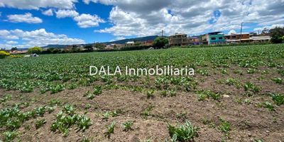 DALA Inmobiliaria vende el lote perfecto para ti en Chía, vereda La Balsa con una ubicación independiente y una vista espectacular, esta es la oportunidad que estabas esperando, Imagina construir la casa o el proyecto de tus sueños en este lote que te ofrece privacidad y tranquilidad en un entorno natural. Disfruta de la serenidad y la belleza de la vereda La Balsa, mientras aún estás cerca del transporte público que te conecta con la ciudad, con este lote, tendrás la libertad de diseñar y construir a tu gusto, No dejes pasar esta oportunidad única, Contáctanos ahora mismo y descubre cómo puedes convertir este hermoso lote en tu nuevo hogar DALA Inmobiliaria, donde los sueños de propiedad se hacen realidad. Si estás buscando inmobiliarias en Chía, somos tu mejor opción. También manejamos Bienes Inmuebles en Cajicá y Cota. cod 1337 a-s

 
