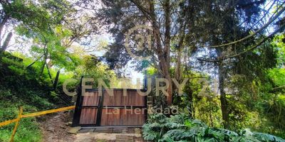 Casa finca para la venta en Medellín, San Cristóbal. Consta de 120 m2 construidos en la casa principal la cual posee una 3  alcobas con closet, 2 baños, Cocina amplia, sala comedor. También posee un estudio independiente con cocina integral, sala comedor, 1 alcoba con closet, zona de ropas.  parqueadero para 8 carros. , área libre en zonas verdes  2.496,79 m2; siendo un total de 3.000 m2. Sector con futuro desarrollo y alta valorización. Espectacular vista 100% garantizada a la ciudad. Gran potencial para desarrollo hotelero y turístico. Colindante con reserva natural protegida por EPM. A solo 10 minutos del Éxito de Robledo. Moderna arquitectura. Incluye una segunda casa pre fabricada de 2 alcobas, 1 baño, sala comedor, cocina integral, zona de ropas y adicionalmente un tercer proyecto avanzado para una casa residencial pre fabricada. Solo faltaría la obra blanca. Puntos de referencia: vía San Pedro de los Milagros.