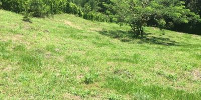 Te presentamos una Megapropiedad tipo lote  campestre en conjunto cerrado, su topografía en terreno semi ondulado y con un área de 2.465 M2, te permitirá proponer diversos diseños arquitectónicos y así edificar el hogar de tus sueños. El conjunto cuenta con piscina, kiosko y cancha múltiple.
