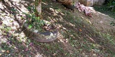 Vende Integridad, inmobiliaria experta en administración y arrendamientos de apartamentos, casas, locales, bodegas y oficinas, Medellín y toda el área Metropolitana.