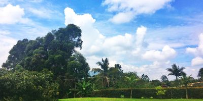 Lote independiente para uso comercial en arriendo sector campestre, tranquilo y de poco flujo vehicular. Cuenta con un área de 5,500M2, en vía principal, energía, agua, portón con control y arboles frutales. Cuenta con casa de 120m2, 3 alcobas, 2 baños, cocina semi-integral. *Inmuebles sujetos a verificación de disponibilidad.*