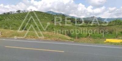 Este es un lote de 57.000 metros cuadrados, habiliado  para uso múltiple, como  centro logísico de  bodegas, mall de comidas, multiservicios, etc, con más de 200 metros sobre la vía principal, a 40 minutos de la ciudad de Pereira, vía La Virginia. El lote es plano en un 80% y el 20 en suaves ondulaciones, a 300 metros después del tunel. excelente precio por m2. El lote tiene construída casa rústica con galpón.