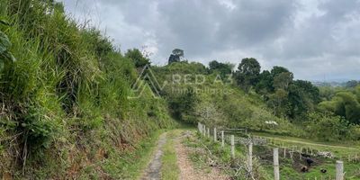 Se vende lote Urbano de 11.884 m² y 156 metros sobre la vía que conduce de Montenegro a Quimbaya, a tan solo 200 metros de la glorieta de entrada. Este predio representa una excelente oportunidad para constructores o inversionistas.

Cuenta con acceso a todos los servicios públicos y uso de suelo para construir vivienda unifamiliar, bifamiliar y multifamiliar tipo VIS en altura, hasta de 5 pisos o edificabilidad adicional de 10 pisos y compatibles con el uso residencial como venta de bienes y servicios.

Su Topografía es ondulada, limita al este con la quebrada buena vista, al oeste con la vía entre Quimbaya y Montenegro, al norte existe vía en servidumbre para acceso a dos fincas vecinas.

Contiguo al predio se encuentra un lote suburbano de 13.716 m², aprovechable para alojamientos, recreación, restaurantes, parqueaderos, centro comercial, estaciones de servicio o cualquier otro uso comercial. Precio de oportunidad.