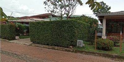 Se vende hermosa casa en el barrio  los Laguitos, Calima el Darién.

 casa de habitación construida en cemento y ladrillo, pisos en tablones, techo de eternit, consta de 3 alcobas, sala - comedor, cocina, 2 baños en cerámica, corredor, lavadero con servicios completos, energía eléctrica, línea telefónica, agua, acueducto y alcantarillado y gas domiciliario.

Cerca al inmueble hay parques, tiendas barriales, vías pavimentadas en buen estado, y fácil acceso a transporte público.
