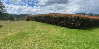 Lote ubicado en el sector del escobero, cuenta con fácil acceso debido a su buena ubicación, además está cerca de tiendas D1, Hospital Manuel Uribe Ángel, Mall Terracina, Mall la Sebastiana, mall Guadalcanal y Centro comercial City Plaza.