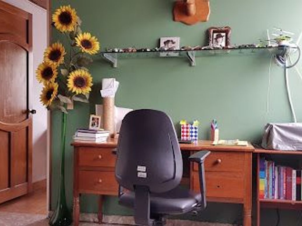 Casa de 3 alcobas en venta en La Clarita, Bogotá, 339 m² · foto 3 de 20