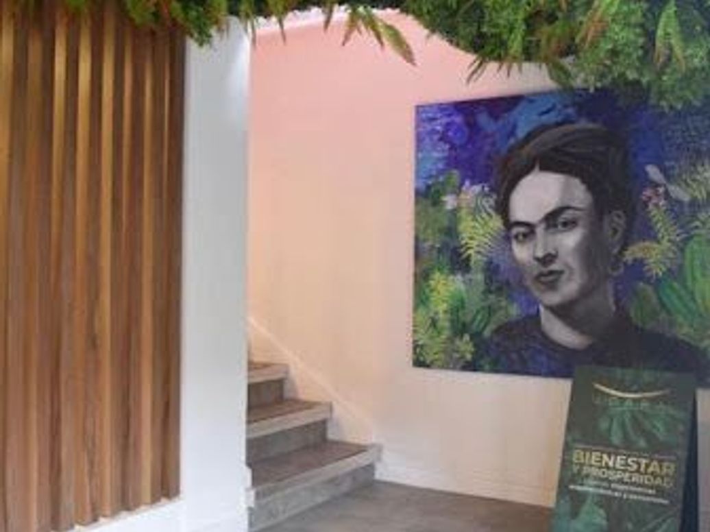 Casa de 1 alcoba en venta en Quinta Camacho, Bogotá, 344 m² · foto 4 de 13