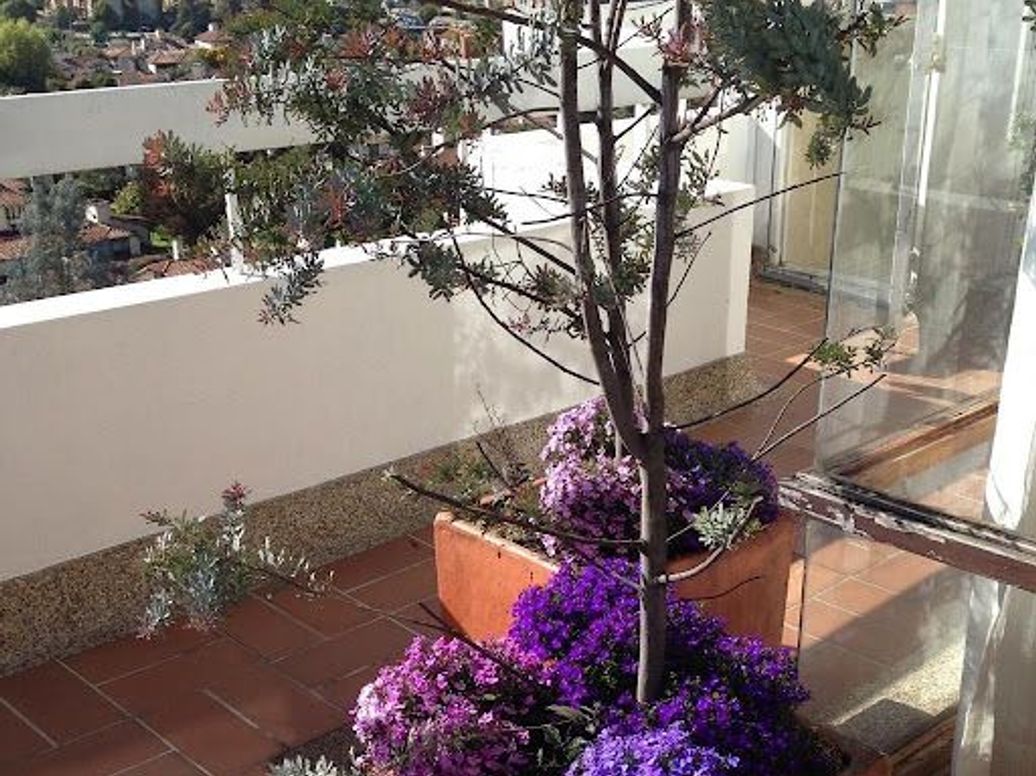 Casa de 3 alcobas en venta en Gratamira, Bogotá, 320 m² · foto 17 de 20