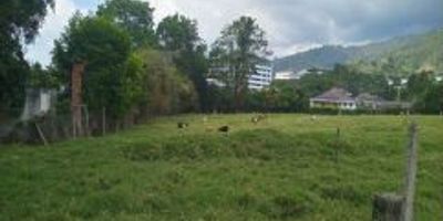 Se venden Lotes en Los Colomos - Santander
Son dos 2 lotes 
Lote 1 Área 9.865,76 m2 
Lote 2 Área 2.588,99 m2
Se encuentra dentro del área metropolitana de la ciudad de Bucaramanga, la topología del terreno es plana, tiene una casa en madera y otra casa de material, cuenta con servicio de energía y agua, rutas de buses sobre la autopista a unos 500 metros por vía sin pavimentar.

En la zona se evidencia desarrollo de alto nivel urbano de estrato alto Clúster de servicios médicos hospital internacional de Colombia Centro internacional de especialistas consultorios centro de rehabilitación centro de investigación.

Valor de venta $5.600.000.000