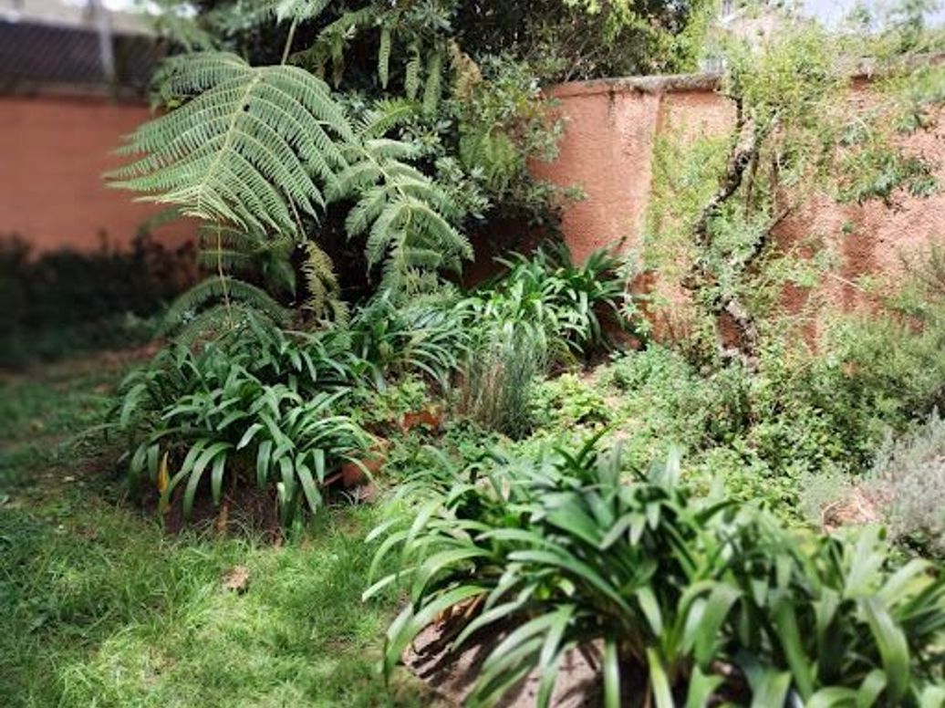 Casa de 4 alcobas en venta en Nuevo Country, Bogotá, 275 m² · foto 10 de 11