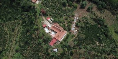 Se vende Finca Cafetera localizada en el corregimiento de San Antonio de prado, vereda la Verde, a 20 minutos de Medellín. Cuenta con un área total de 131.458 Mts2, con abundantes aguas pues posee nacimientos de agua y está delimitada por las quebradas La Popala y Piedra Honda o Charco Hondo.  Tiene sembradas 7 hectáreas aprox. en café con cerca de 25,000 árboles en producción y cerca de 3,000 pinos de diferentes variedades para explotación, así como potreros para ganadería.  Para la producción de café, cuenta con el beneficiadero, así como la infraestructura de carros e invernadero para secado de café. Posee árboles frutales y plátano. Energía eléctrica de EPM y agua de nacimiento licenciada por Corantioquia. Casa de mayordomo independiente con cocina, baño, sala y 2 alcobas. Casa Principal con 2 salas, comedor, cocina, 5 alcobas, 3 baños, cuarto útil, piscina adultos y de niños, Quiosco. Construcción en bareque. Excelente vista 270 grados hacia Medellín poblado, Itagí, envigado, 