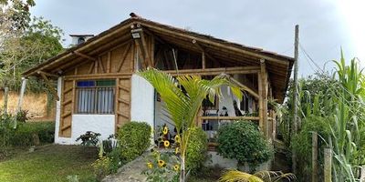 Casa campestre  venta en la via Altagracia, Pereira. cuenta con un área de 570m2 de lote, 3 habitaciones, 1 baño, parqueaderos cubiertos, cocina integral, sala y comedor independientes, gas domiciliario, zona de ropas, patio y estudio. Cuenta con espectaculares vistas de fauna y flora, mucha tranquilidad, cómodas vías de acceso. La casa tiene proyección para segundo piso y seguir construyendo.