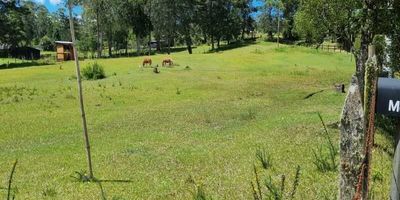 Codigo 22267. Lote en venta ubicado en El Retiro sector PantanilloHermoso lote con topografia plana, rodeado de naturaleza; ideal para construir casa principal y casa de mayordomo.Valor predial: $2.342.964Cerca a: El Retiro, Vía principal, a 5 minutos de la zona urbana y a 20 minutos de la ceja.
