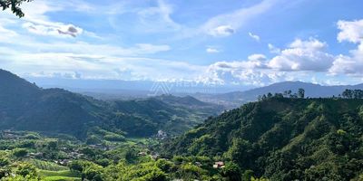 Se vende casa que forma parte de la Finca Bellavista, ubicada en la apacible Vereda Mangas Planadas de Santa Rosa de Cabal. A solo 8 km de La Circunvalar. Llegamos a ella por la Vía Pereira-La Florida y en el kilómetro 4 ingresamos 2.5 km por el Puente del Río San José .

Esta propiedad cuenta con un área construida de 218 m². Ofrece:
Primer piso: Sala, comedor, estudio, Cocina con isla,  habitación de 3.3 m x 3.5 m, patio, depósito, baño, chimenea y una sala de estar xterna.
Segundo piso: 3 habitaciones, 2 baños, sala, estudio, terraza, 2 baños, balcones.
Adicionalmente, 60 m² de un beneficiario ecológico, una zona de bodega y espacio para estacionar hasta 2 vehículos. 

La casa comparte medidor de luz con otra propiedad y tiene acceso al servicio de internet satelital según la preferencia del comprador. El suministro de agua no conlleva costos adicionales, ya que proviene de dos fuentes naturales. Uno de estos nacimientos se filtra a través de una galería libre de contaminantes y se almacena en tanques plásticos de 9.000 litros, abasteciendo tanto a esta propiedad como a dos casas más dentro de la finca.

Ubicada en una zona de semi reserva ecológica, la propiedad ofrece una impresionante vista panorámica a dos cordilleras y a la ciudad de Pereira. Rodeada por bosques y cultivos de café, guaduales y nogales, brinda un entorno natural y sereno. La topografía de la zona es de ladera, con una inclinación de 35 a 60 grados, perfecta para realizar senderismo.

No dude en ponerse en contacto con nosotros para obtener más detalles o coordinar una visita y descubrir el encanto único de esta propiedad.