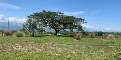 Invierte en un lote campestre en el exclusivo condominio, en Cerritos vía Cartago Pereira, Colombia, con vistas panorámicas al paisaje del Valle del Risaralda , Serranía de Tatamá y la Cordillera Occidental. Vive la experiencia de transformar tus mañanas con la mejor vista del Eje Cafetero Colombiano, el canto de las aves de la región y viviendo a solo 45 minutos de la ciudad de Pereira y 11 minutos de Cartago. Encantadora zona campestre con cercanía a restaurantes, supermercado y variedad de comercio.

El lote en venta tienen un área de 1,624 m², infraestructura de todos los servicios públicos, red eléctrica subterránea condominio con seguridad privada 24 horas, doble tanque de reserva, pozo séptico, áreas comunes pavimentadas y vecinos agradables.