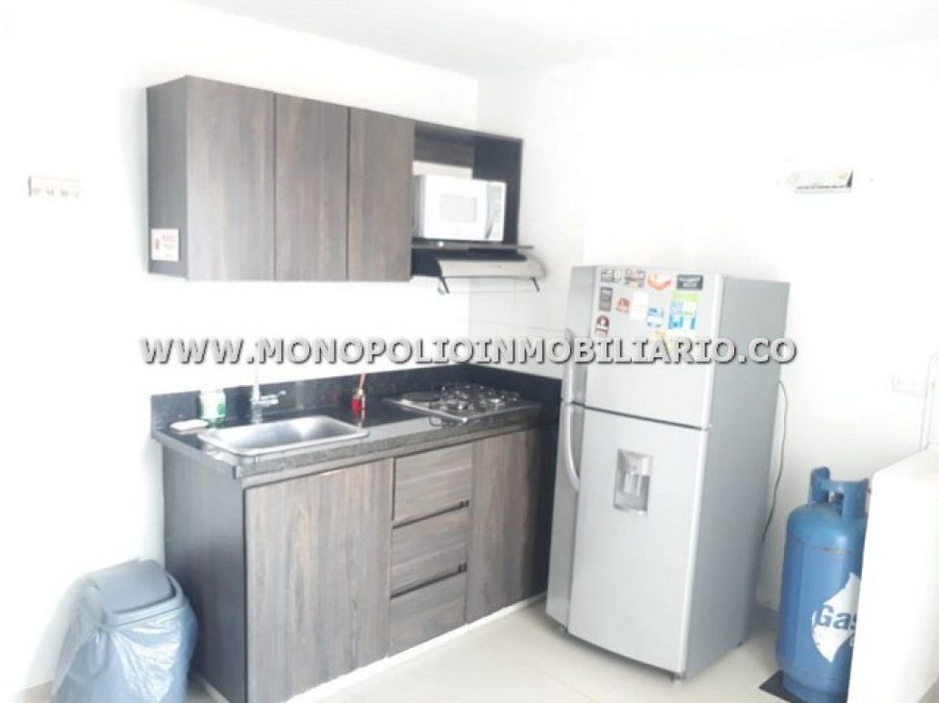 APARTAESTUDIO AMOBLADO ARRIENDO CASTELLANA COD: 14127 en La Castellana